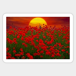 At the Going Down of The Sun - Poppies at Sunset Sticker